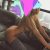 Pendik Escort Bayan Katerina - Image 3 Pendik Escort Bayan Katerina - Image 3