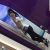 Pendik Kurtköy Escort Bayan Buket - Image 3 Pendik Kurtköy Escort Bayan Buket - Image 3