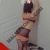 Kurtköy Pendik Tuzla Escort Bayan Aliye & Arzu - Image 1 Kurtköy Pendik Tuzla Escort Bayan Aliye & Arzu - Image 1