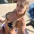 Anadolu Yakası Escort Bayan Hazal - Image 4 Anadolu Yakası Escort Bayan Hazal - Image 4