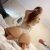 Anadolu Yakası Escort Bayanlar Natali ve Buse - Image 1 Anadolu Yakası Escort Bayanlar Natali ve Buse - Image 1