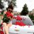 Anadolu Yakası Escort Bayan Sabina - Image 3 Anadolu Yakası Escort Bayan Sabina - Image 3