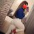 Anadolu Yakası Escort Bayan Mila - Image 1 Anadolu Yakası Escort Bayan Mila - Image 1