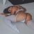 Pendik Gebze Kurtköy Escort Bayan Bihter - Image 1 Pendik Gebze Kurtköy Escort Bayan Bihter - Image 1