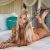 Anadolu Yakası Escort Bayan Severa - Image 2 Anadolu Yakası Escort Bayan Severa - Image 2