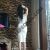 Anadolu Yakası Escort Bayan Arzu ve Yağmur - Image 1 Anadolu Yakası Escort Bayan Arzu ve Yağmur - Image 1