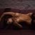 Pendik Kartal Tuzla Escort Bayan Maya Dilnaz ve Banu - Image 4 Pendik Kartal Tuzla Escort Bayan Maya Dilnaz ve Banu - Image 4