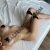 Anadolu Yakası Escort Bayan Jasmin - Image 3 Anadolu Yakası Escort Bayan Jasmin - Image 3