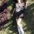 Pendik Kurtköy Tuzla Escort Bayan Beyza ve Buket - Image 6 Pendik Kurtköy Tuzla Escort Bayan Beyza ve Buket - Image 6