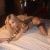 Pendik Tuzla Kartal Escort Bayan Asena - Image 3 Pendik Tuzla Kartal Escort Bayan Asena - Image 3