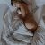 Pendik Kurtköy Escort Bayan Gülizar - Image 2 Pendik Kurtköy Escort Bayan Gülizar - Image 2