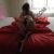 Kartal Escort Bayan Duygu - Image 1 Kartal Escort Bayan Duygu - Image 1