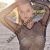 Anadolu Yakası Escort Bayan Banu - Image 6 Anadolu Yakası Escort Bayan Banu - Image 6