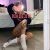 Pendik Merkez Escort Bayan Duygu - Image 1 Pendik Merkez Escort Bayan Duygu - Image 1