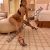 Pendik Kurtköy Gebze Escort Bayan Gamze Alev ve Alina - Image 1 Pendik Kurtköy Gebze Escort Bayan Gamze Alev ve Alina - Image 1