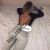 Pendik Çarşı Escort Bayan Türkan - Image 5 Pendik Çarşı Escort Bayan Türkan - Image 5
