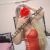 Maltepe Kartal Bostancı Escort Bayan Cansu - Image 3 Maltepe Kartal Bostancı Escort Bayan Cansu - Image 3
