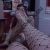 Tuzla Escort Bayan Derin - Image 3 Tuzla Escort Bayan Derin - Image 3