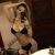Gebze Tuzla Pendik Escort Bayan Pervin - Image 6 Gebze Tuzla Pendik Escort Bayan Pervin - Image 6
