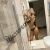 Pendik Maltepe Tuzla Seksi Escort Kızlar - Image 8 Pendik Maltepe Tuzla Seksi Escort Kızlar - Image 8