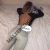 Pendik Escort Bayan Türkan - Image 2 Pendik Escort Bayan Türkan - Image 2